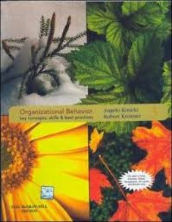 Organizational Behaviour : 3rd Edition
