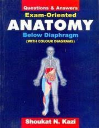 Questions and Answers : Exam Oriented Anatomy Below Diaphragm