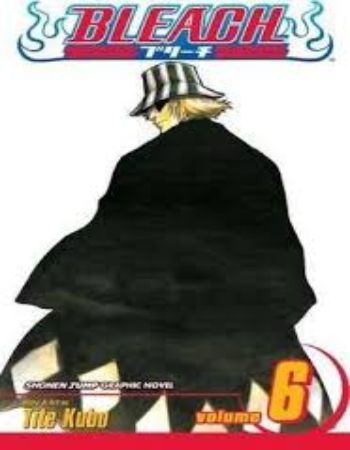 Bleach Volume 6