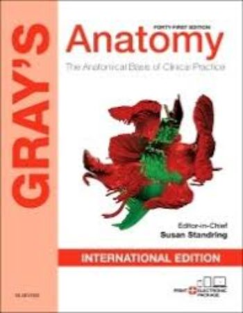 Grays Anatomy 42nd Edition