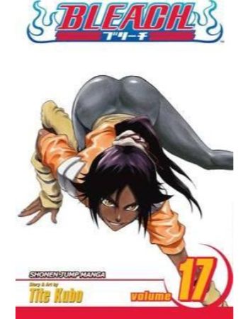 Bleach Volume 17