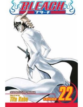 Bleach Volume 22