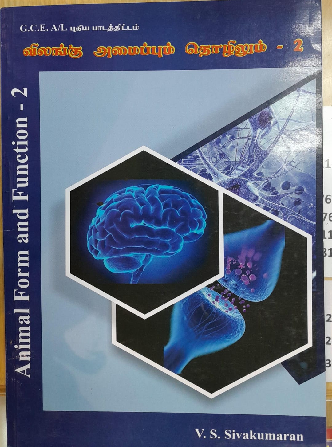 A Level Vilangu Amaippum Thozhilum 2