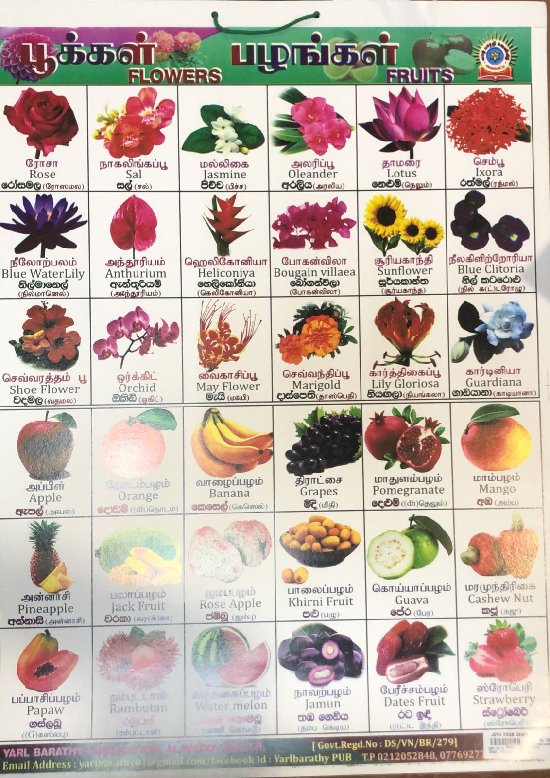 Chart : Flowers and Fruits