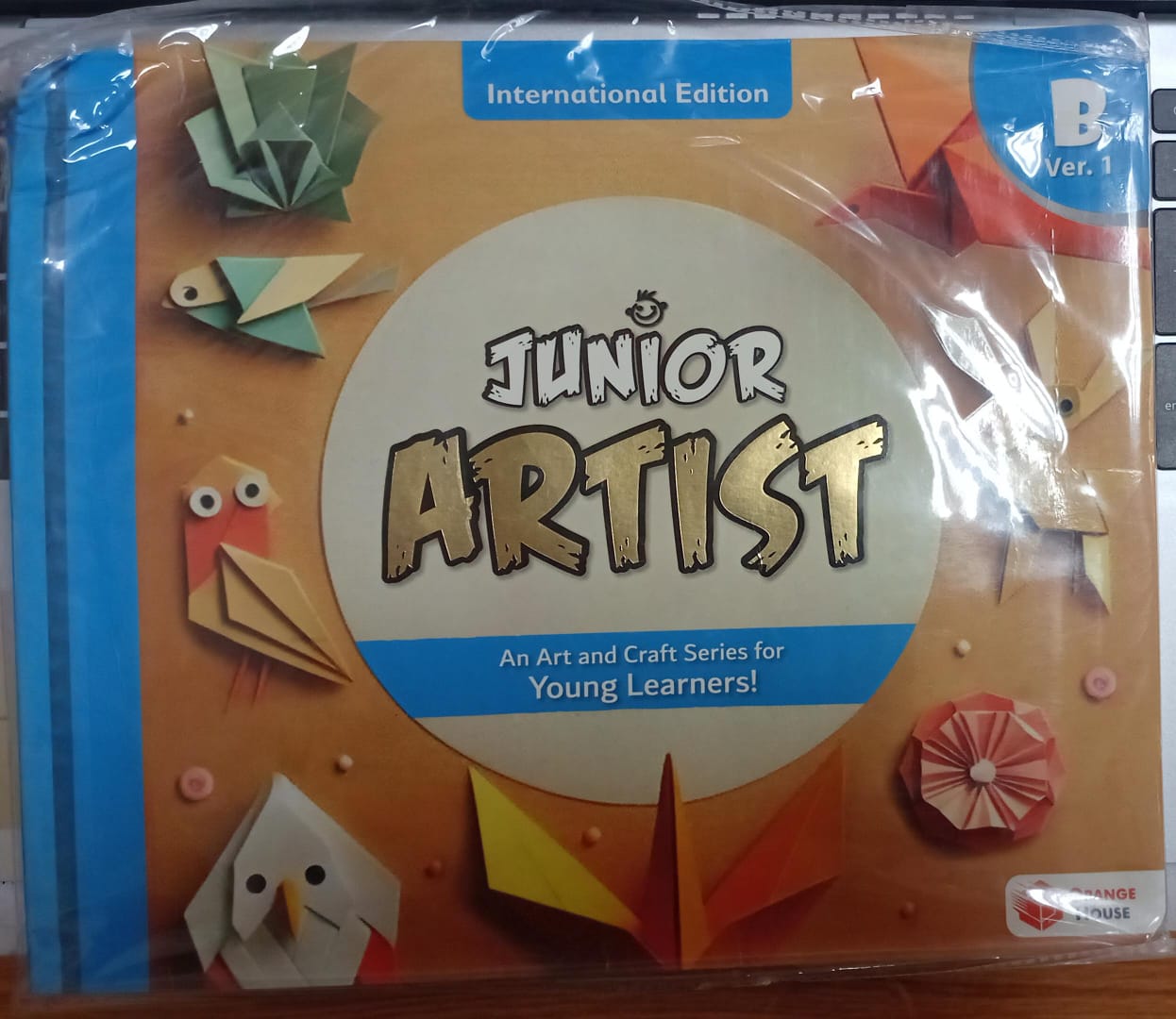 Junior Artist Art and Craft - B