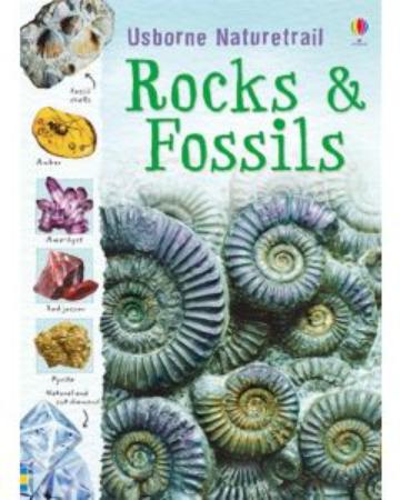 Rocks and Fossils