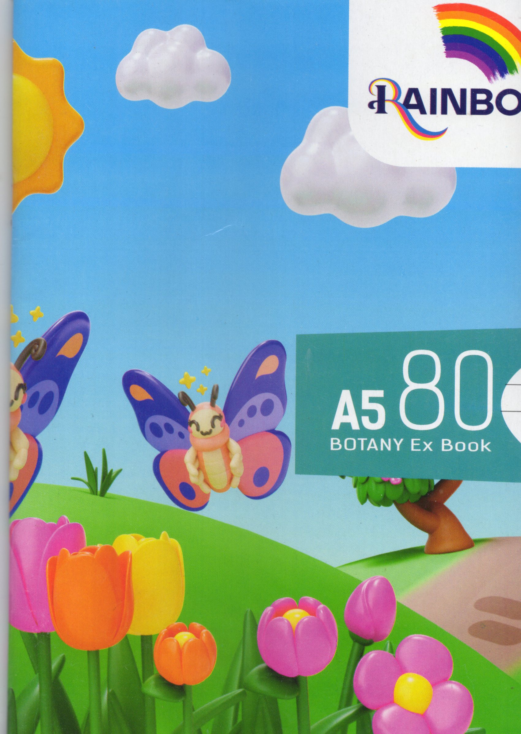 Rainbo Botany 80Pg