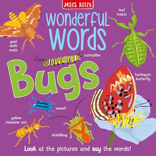 Wonderful Words Bugs