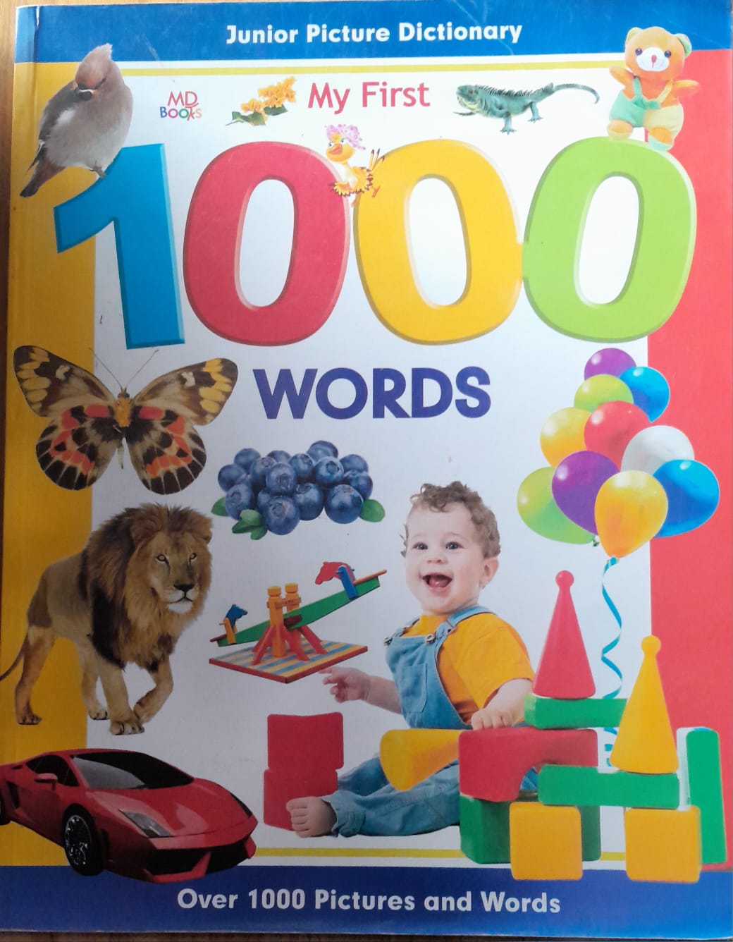 1000 Picture Dictionary Paperback