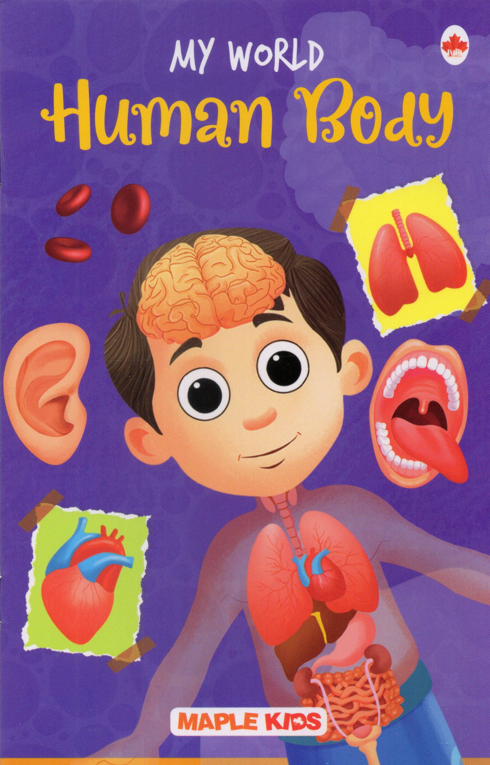 My World : Human Body