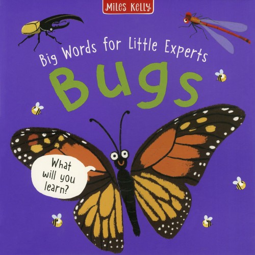 Big Words for Little Experts: Bugs
