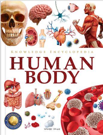 Knowledge Encyclopedia : Human Body
