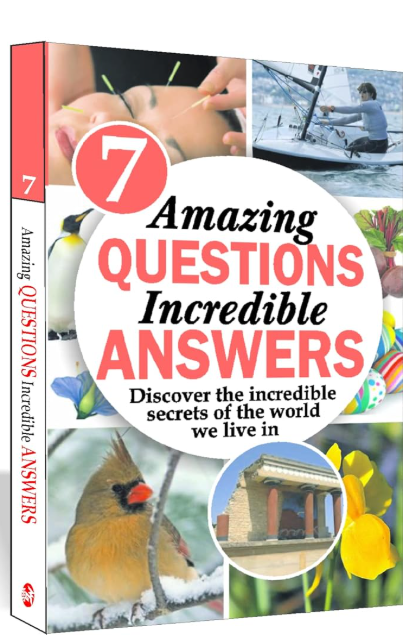 Amazing Questions Incredible Answers 7
