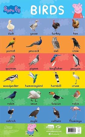 Peppa Pig : Early Learning Birds Chart for Children