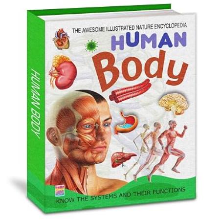 Human Body