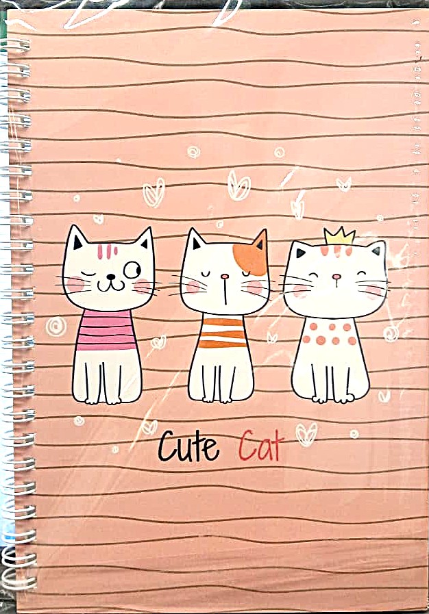 Note Book : No 2538