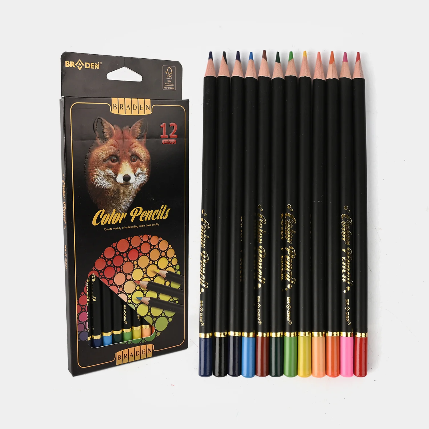 Braden 12 Colour Black Pencils