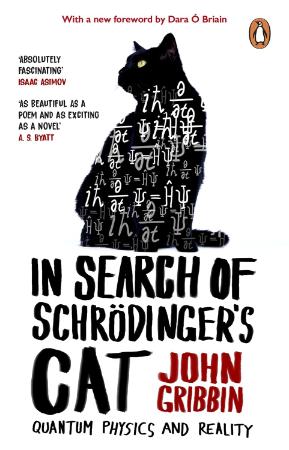 In Search Of Schrodingers Cat