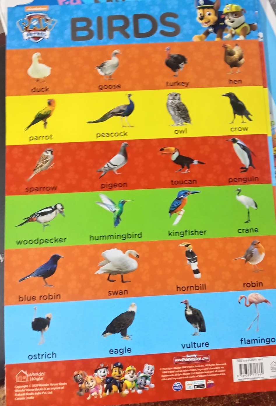 Early Learning Chart Set : Birds
