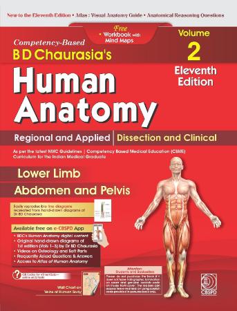 BD Chaurasias Human Anatomy : Volume 2 : Regional and Applied Dissection and Clinical : Lower Limb Abdomen and Pelvis : 11th Edition