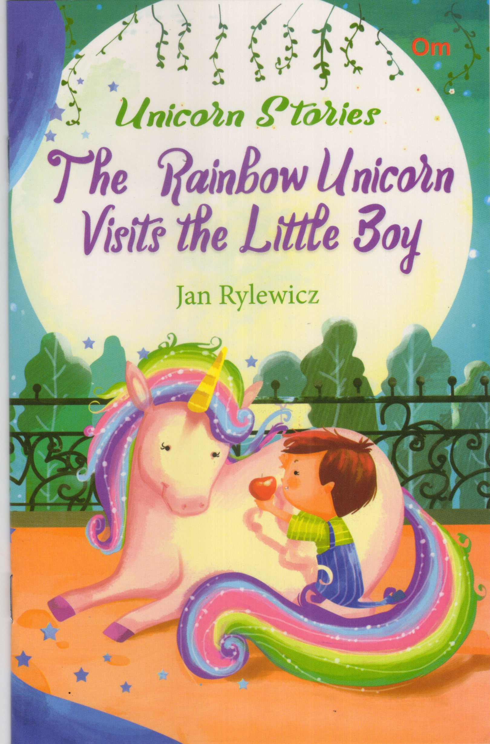 The Rainbow Unicorn Visits The Little Boy