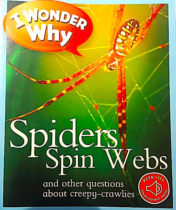 I Wonder Why : Spiders Spin Webs